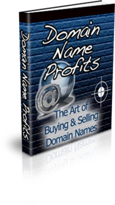 Product picture Domain Name Flipping